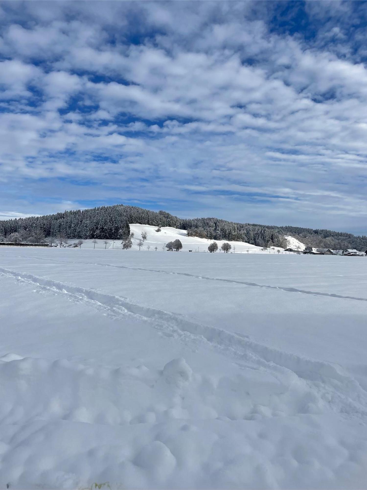 Appartamento Salty Sol Leutkirch im Allgäu Esterno foto
